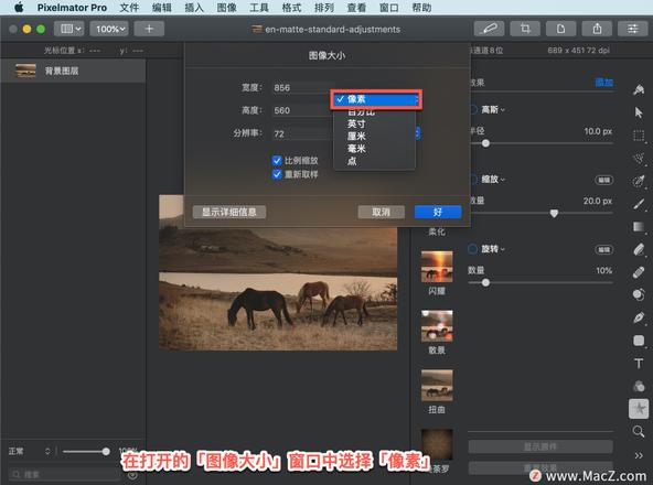 Pixelmator Pro?教程「154」，如何在 Pixelmator Pro?中更改图像大小？