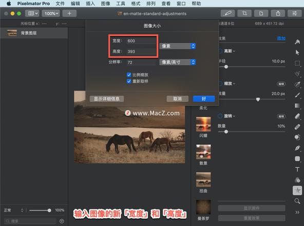 Pixelmator Pro?教程「154」，如何在 Pixelmator Pro?中更改图像大小？