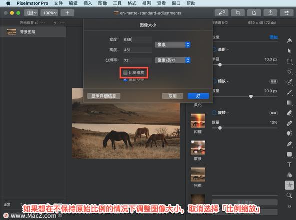 Pixelmator Pro?教程「154」，如何在 Pixelmator Pro?中更改图像大小？