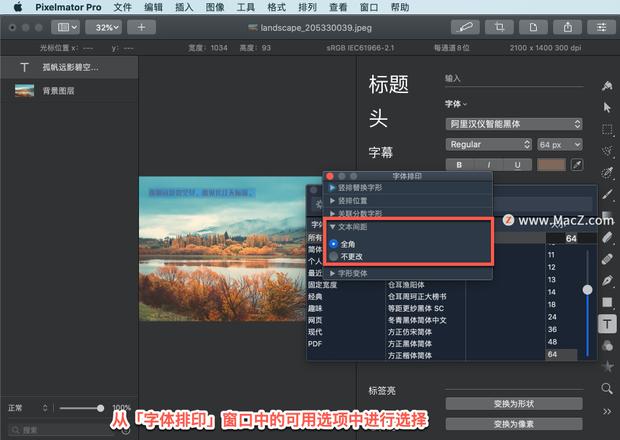 Pixelmator Pro?教程「170」，如何在 Pixelmator Pro?中使用字体窗口进行高级排版？