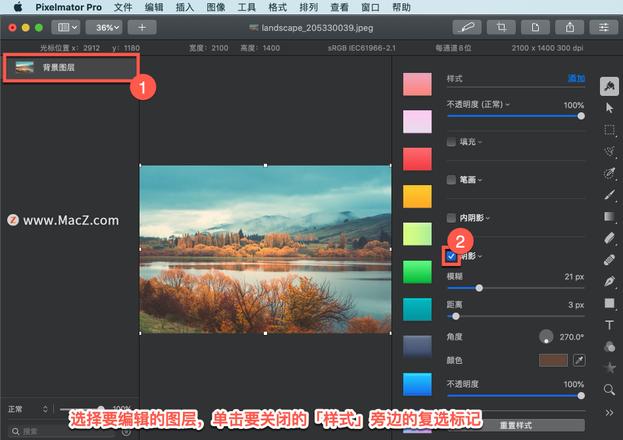 Pixelmator Pro?教程「176」，如何在 Pixelmator Pro?中关闭或删除图层样式？