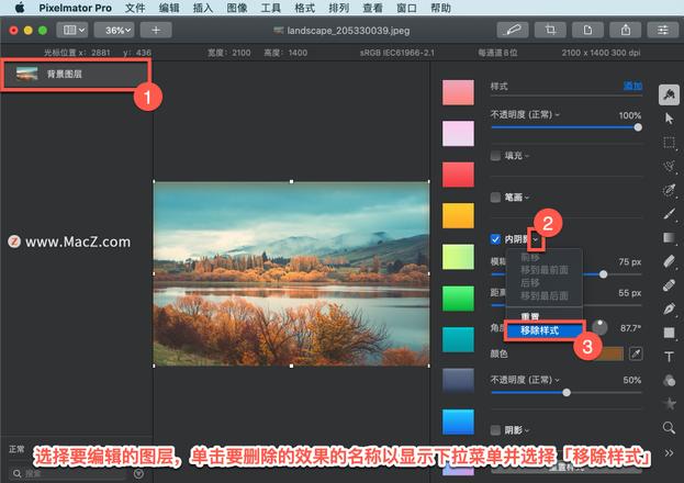 Pixelmator Pro?教程「176」，如何在 Pixelmator Pro?中关闭或删除图层样式？