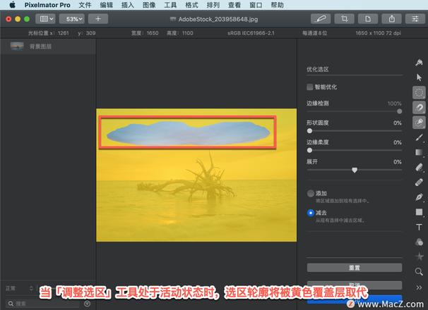 Pixelmator Pro?教程「202」，如何在 Pixelmator Pro?中调整选区？