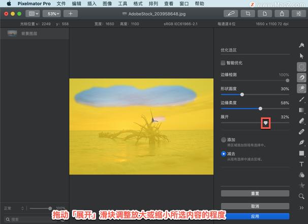 Pixelmator Pro?教程「202」，如何在 Pixelmator Pro?中调整选区？