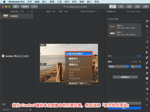 Pixelmator Pro?教程「181」，如何在 Pixelmator Pro?中显示优化预览？