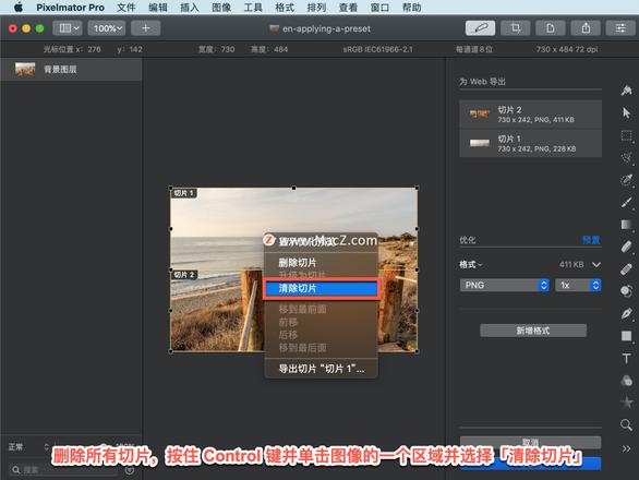 Pixelmator Pro?教程「181」，如何在 Pixelmator Pro?中显示优化预览？