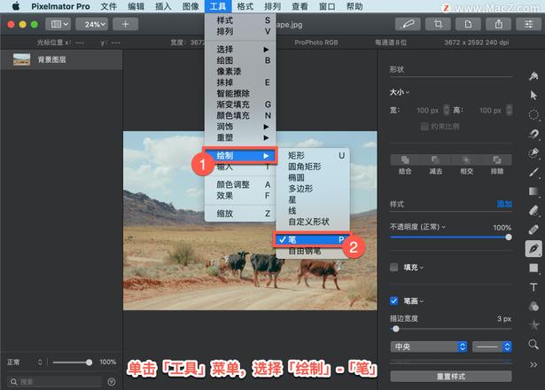 Pixelmator Pro?教程「206」，如何在 Pixelmator Pro?中绘制直线段？