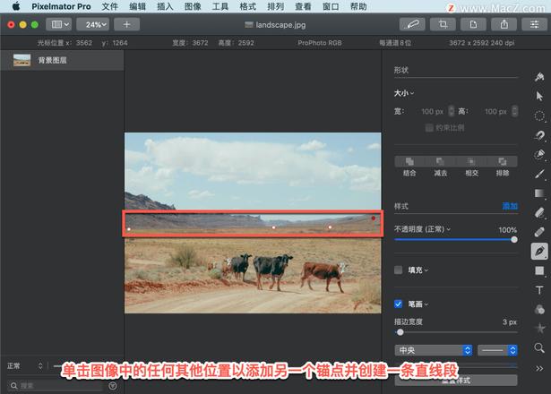 Pixelmator Pro?教程「206」，如何在 Pixelmator Pro?中绘制直线段？