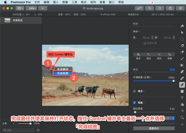 Pixelmator Pro?教程「206」，如何在 Pixelmator Pro?中绘制直线段？