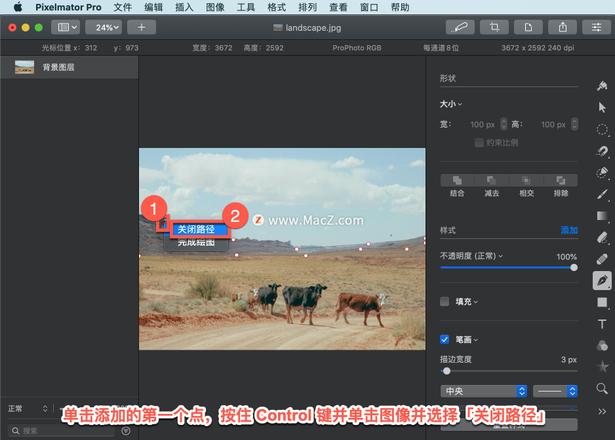 Pixelmator Pro?教程「206」，如何在 Pixelmator Pro?中绘制直线段？