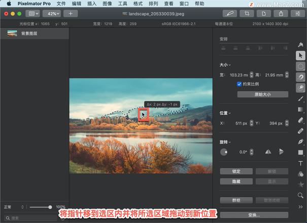 Pixelmator Pro?教程「204」，如何在 Pixelmator Pro?中移动、复制选择区域？