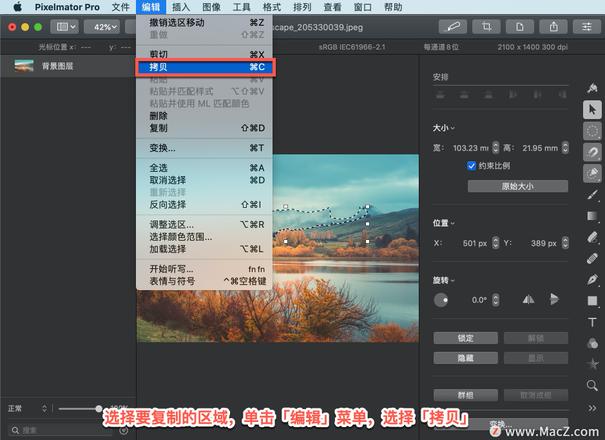 Pixelmator Pro?教程「204」，如何在 Pixelmator Pro?中移动、复制选择区域？