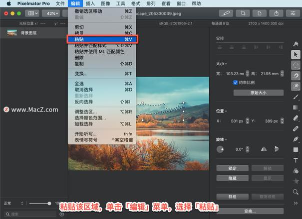 Pixelmator Pro?教程「204」，如何在 Pixelmator Pro?中移动、复制选择区域？