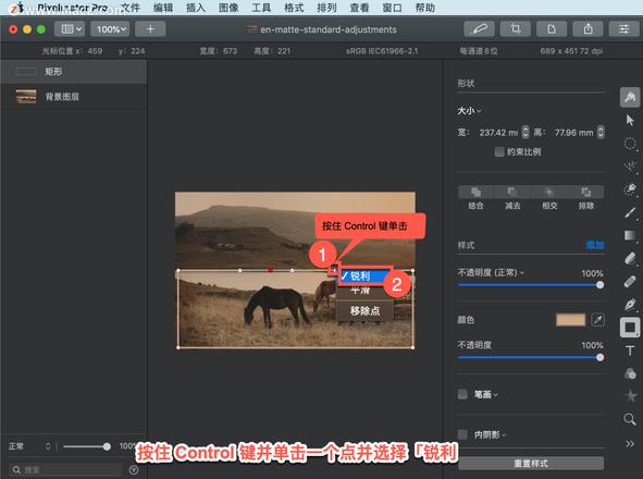 Pixelmator Pro?教程「210」，如何在 Pixelmator Pro?中转换锐点和平滑点？