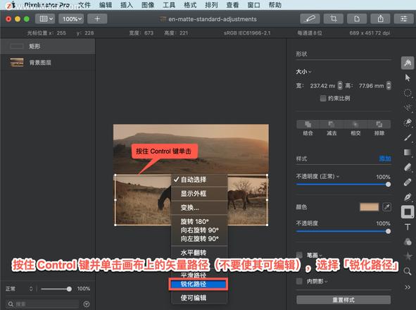 Pixelmator Pro?教程「210」，如何在 Pixelmator Pro?中转换锐点和平滑点？