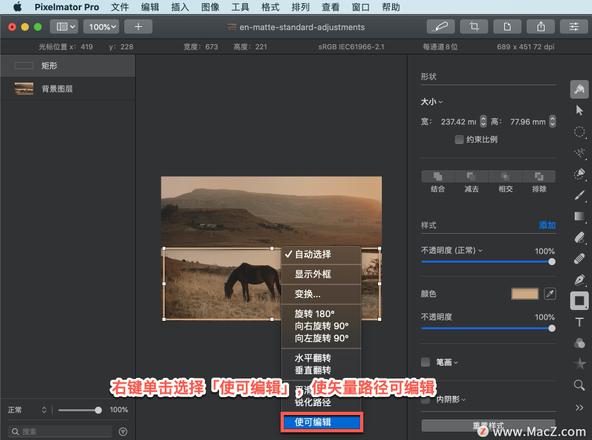 Pixelmator Pro?教程「210」，如何在 Pixelmator Pro?中转换锐点和平滑点？