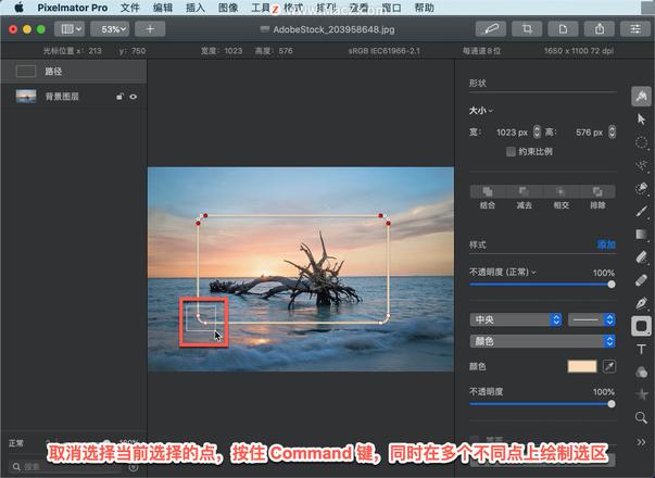 Pixelmator Pro?教程「209」，如何在 Pixelmator Pro?中向矢量路径添加或删除点？