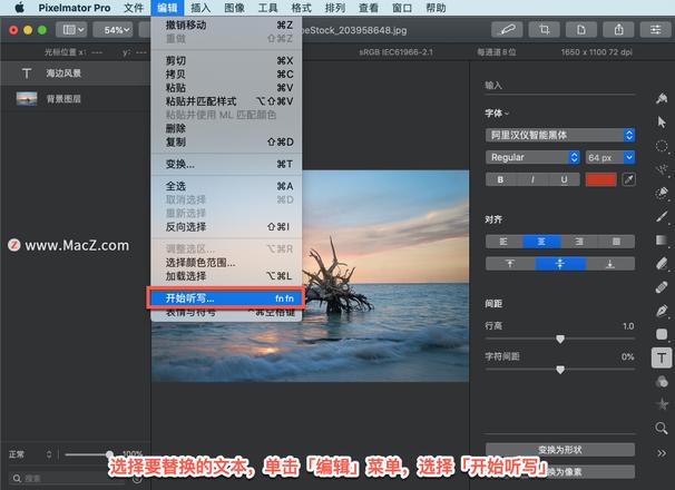 Pixelmator Pro?教程「212」，如何在 Pixelmator Pro?中使用听写输入文本？