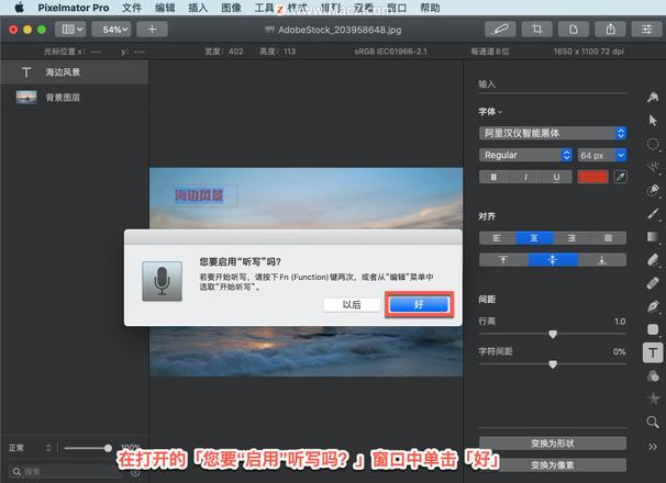 Pixelmator Pro?教程「212」，如何在 Pixelmator Pro?中使用听写输入文本？