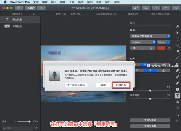 Pixelmator Pro?教程「212」，如何在 Pixelmator Pro?中使用听写输入文本？