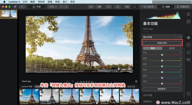 Luminar 4?教程「10」，如何在 Luminar 4 中?使用黑白转换工具？