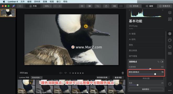 Luminar 4?教程「12」，如何在 Luminar 4 中?使用消除噪点工具？