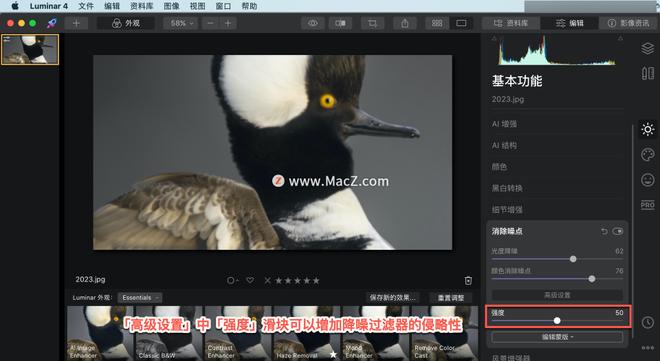 Luminar 4?教程「12」，如何在 Luminar 4 中?使用消除噪点工具？