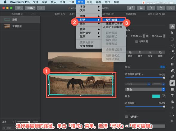 Pixelmator Pro?教程「208」，如何在 Pixelmator Pro?中使路径可编辑？