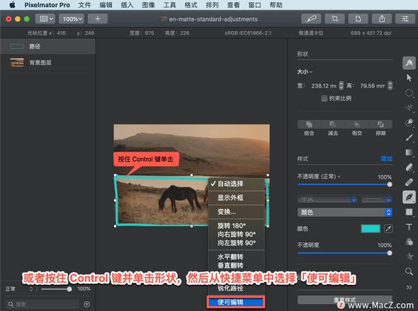 Pixelmator Pro?教程「208」，如何在 Pixelmator Pro?中使路径可编辑？