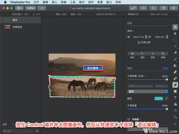 Pixelmator Pro?教程「208」，如何在 Pixelmator Pro?中使路径可编辑？