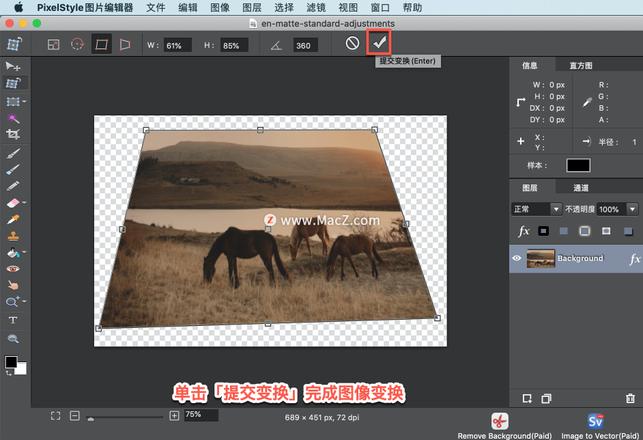 PixelStyle 教程「10」，如何在 PixelStyle 中使用变换工具？