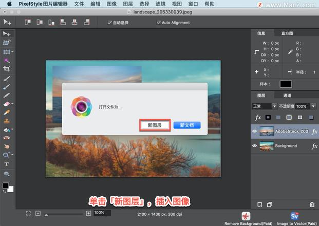 PixelStyle 教程「15」，如何在 PixelStyle 中插入图像？