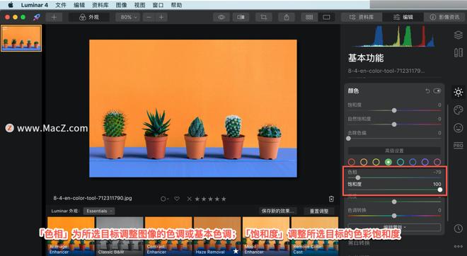 Luminar 4?教程「9」，如何在 Luminar 4 中?使用颜色工具？