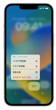 iPhone 14 如何在锁定屏幕上使用通知？