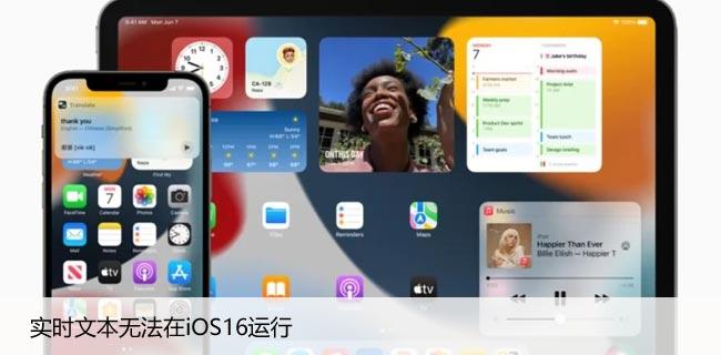 实时文本无法在iOS16运行，苹果手机修复文本问题