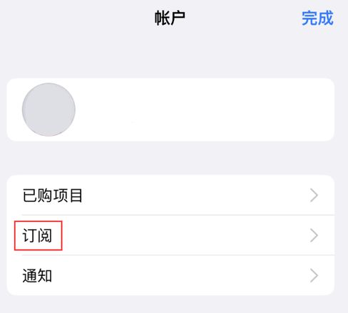 iPhone 14 系列机型如何管理 App Store 购买项目、订阅等设置？