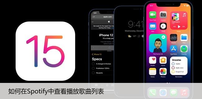 如何在Spotify中查看播放歌曲列表