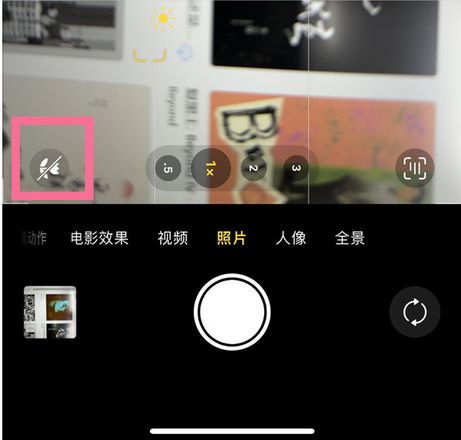 iPhone 14相机的微距拍摄有什么用？iPhone 14如何启用微距拍摄？