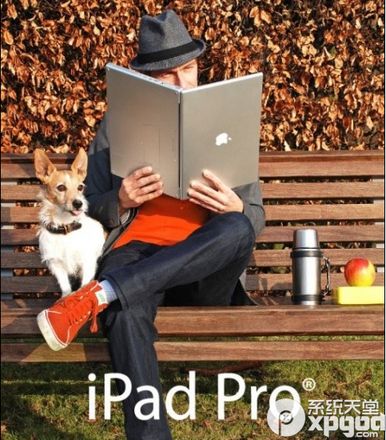 ipad pro的屏幕尺寸有多大?