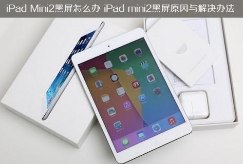 iPad Mini2黑屏按Home键没反应 iPad mini2黑屏原因及解决