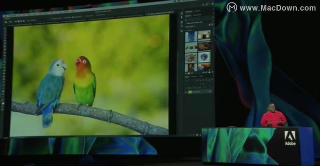 看完Adobe Max 2019，90%的设计师都把电脑砸了…