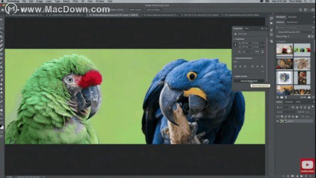 看完Adobe Max 2019，90%的设计师都把电脑砸了…