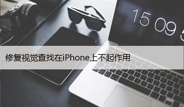 修复视觉查找在iPhone上不起作用，6 种方法