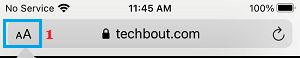 在 iPhone Safari 浏览器上更改字体大小选项