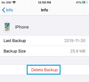 在 iPhone 上删除 iCloud 备份