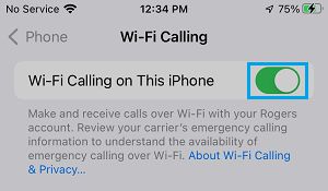 在 iPhone 上启用 WiFi 通话