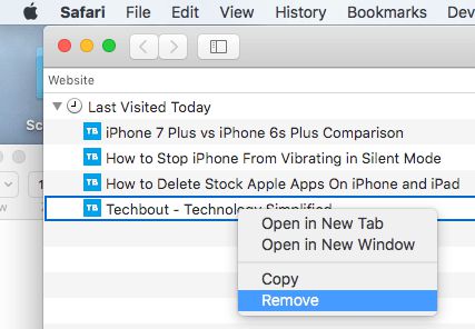 从 Mac 上的 Safari 历史记录中删除特定网页