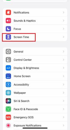 屏幕镜像在 iPhone 上不起作用