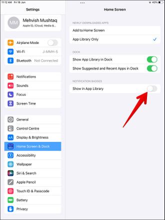 iPad 通知徽章应用程序库