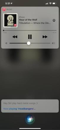 按排行榜、流行度或流派查找音乐